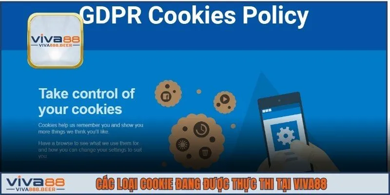 Các loại cookie đang được thực thi tại VIVA88