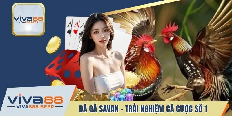 Đá Gà Savan VIVA88 - Đấu Trường Gay Cấn Nhất Năm 2025