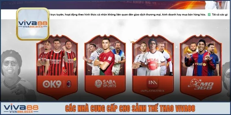 Đơn vị phát triển nền tảng cho sảnh thể thao VIVA88