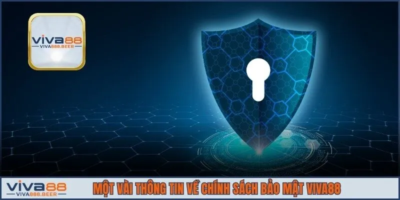 Một vài thông tin về chính sách bảo mật VIVA88