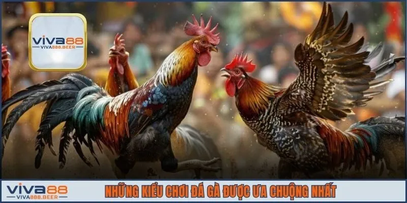 Những kiểu chơi đá gà được ưa chuộng nhất
