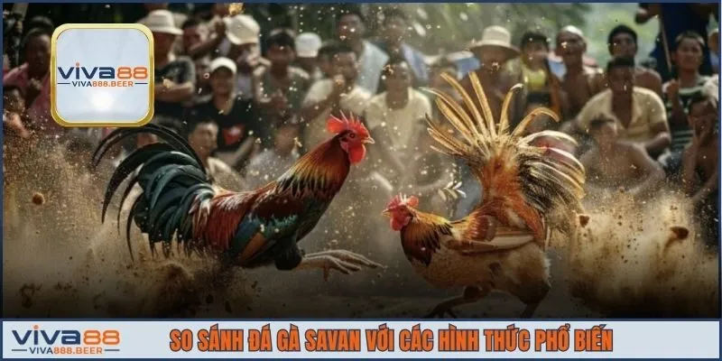 Sánh đá gà Savan với các hình thức phổ biến
