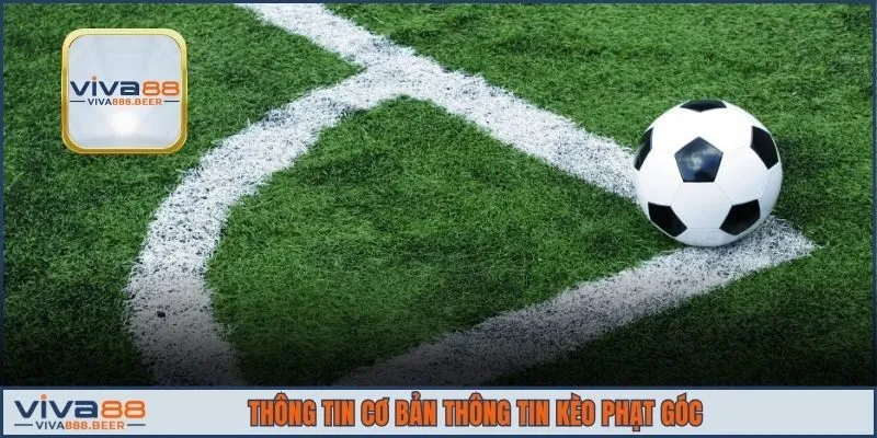 Thông tin cơ bản thông tin kèo phạt góc