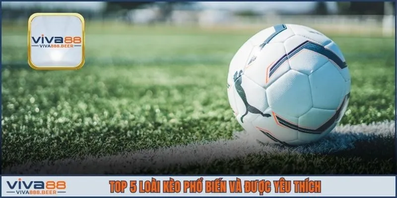 Top 5 loài kèo phổ biến và được yêu thích